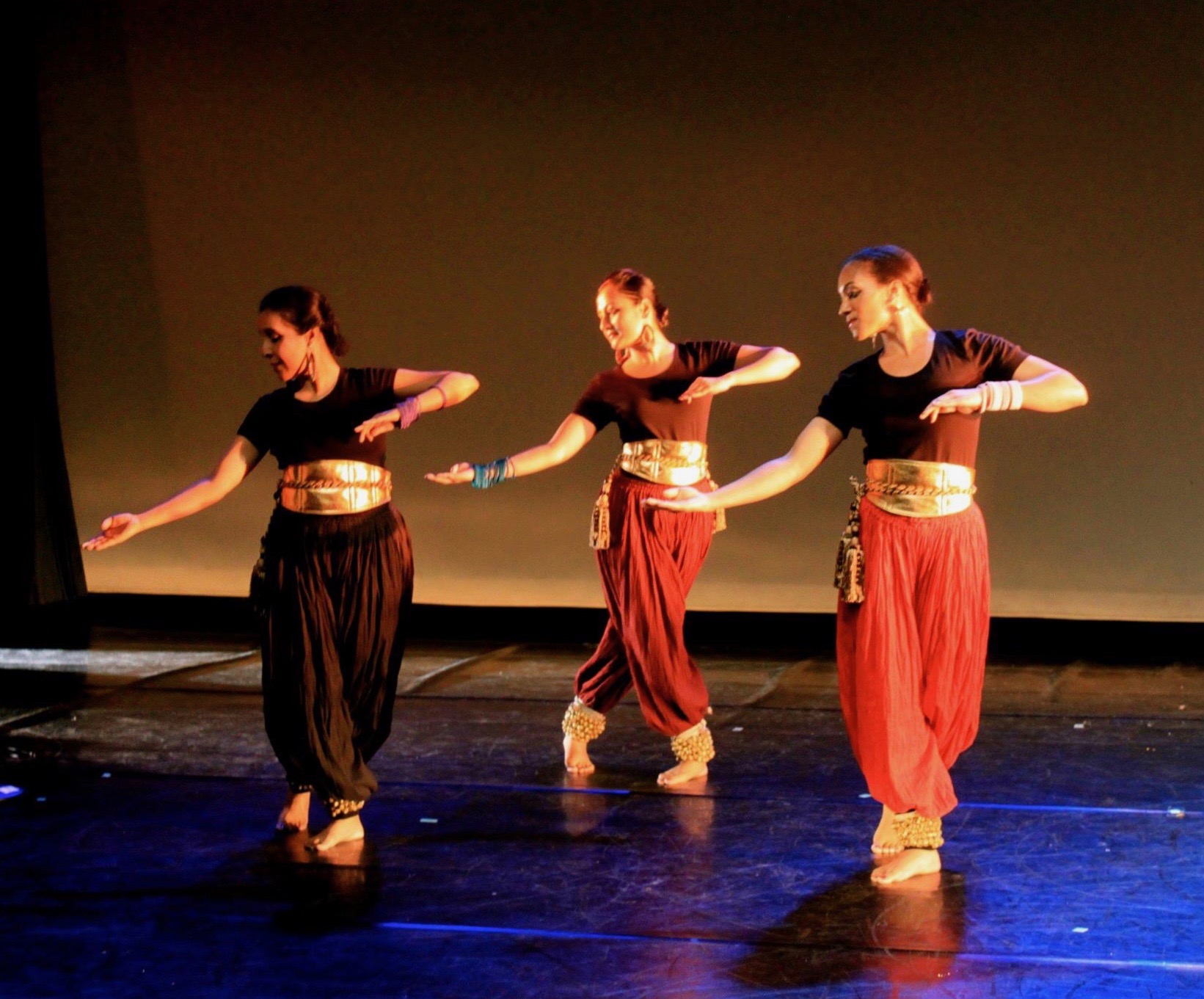 Photo of Diditi Mitra and other performers in Unsung Arrivals, a Courtyard Dancers production.Photo Credit- JJ Tiziou